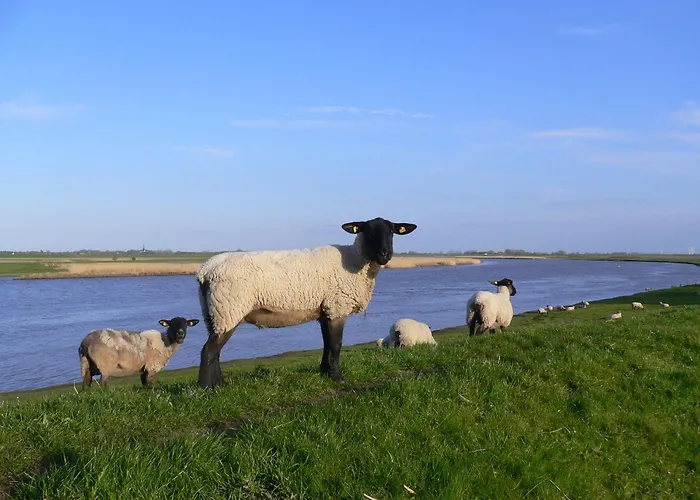 Casa vacanze Eider-daus *