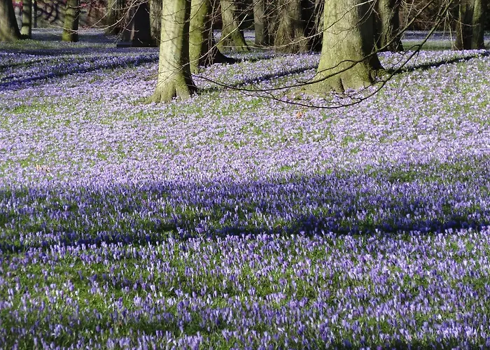 Casa vacanze Eider-daus