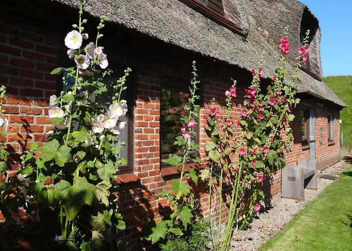 Eider-daus Casa vacanze *